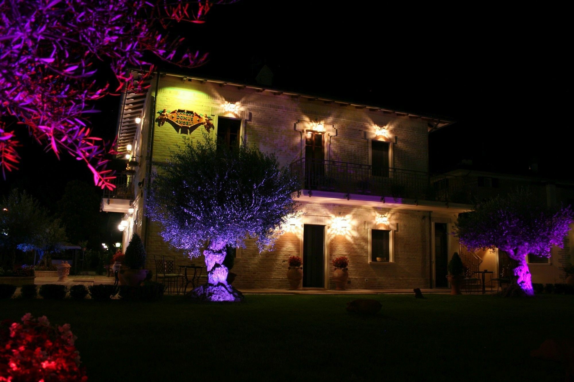Domus Angeli Hotell Assisi Exteriör bild